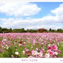 드림파크 이미지