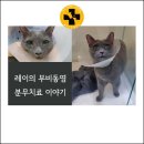 장산동물병원 이미지