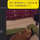 제주에내집 이미지