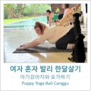 탑 퍼피(TOP PUPPY) | [여자혼자 발리한달살기- 짱구 퍼피요가 발리 ] 아기강아지와 함께하는 퍼피요가 발리 솔직후기