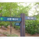 서울매봉초등학교 이미지