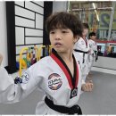 라온제나 태권도 이미지