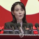 또 지랄발작병 도진 북한의 김여정 이미지