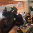 현다방 | 26년 3월 감기 조심..