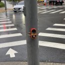 한울마을1단지사거리 이미지