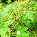 솔밭쉼터 이미지