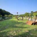 보은산V랜드 이미지