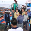 완도19호 이미지