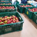 만섭농장 이미지