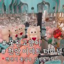 이마트천안터미널점 | [천안못된고양이] 귀여운 삔 천지인 못된고양이 이마트 천안점