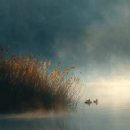 morning soft 이미지