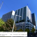 수원시청 Daum카페