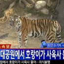 서울대공원 이미지