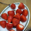 반올림 피자샵 도청점 네이버블로그