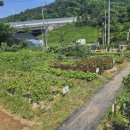 의왕농장 이미지