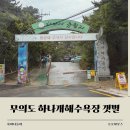하나개해수욕장 포내갯벌체험 후기｜무의도 방갈로 예약 및 이용팁!