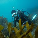 작은한개 이미지