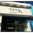 네일,바로