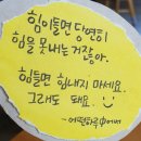 뉴라온다이어트캠프 네이버블로그