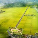 솔방솔방 이미지