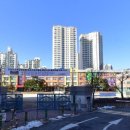 화양초교 후문 이미지