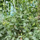 함양카센터 | 정비와 세차까지 한번에! 차량관리 전문 서상모터스워시게러지 방문후기