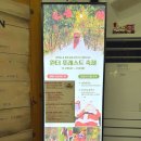 호숫가의 하얀집 | 에코랜드테마파크 증기기관차 타고 곶자왈 숲 탐방