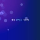 美(미)헤어 이미지