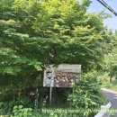 지구산책 | 남양주한강공원 삼패지구 산책코스 후기