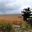 제주추사관 이미지