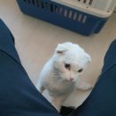 거마천로 이미지