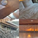 스테이더담 고성동해 이미지