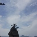 백사장해수욕장 Daum카페