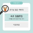 일월회집 | [일월횟집] 대게+모듬회를 배터지게 먹고 온 후기(feat.단체추천)