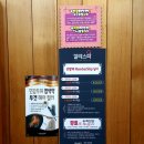 칼라스파두정점 | 두정동 미용실추천 [칼라스파] 천연 염색과 펌 잘하는곳 추천!