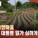 이대통령 고향분들이 기억하는...이재명 일가 이미지