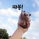 나에게 알맞는 AI 셋팅하는 방법 1탄 이미지