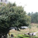 샘터휴양펜션 이미지