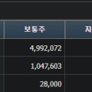 디와이피엔에프 이미지