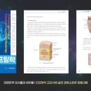 포레스트의원 티스토리