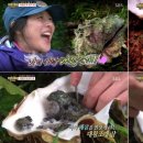 조개사냥 이미지