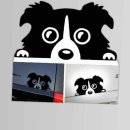 프리티도그 이미지