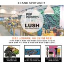 초이스뷰티 이미지