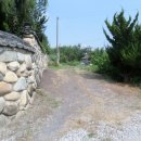 완월동240 이미지