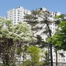 상암DMC공인중개사사무소 이미지