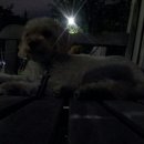 지누동물병원 이미지