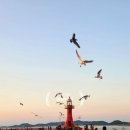 제부낙조 이미지