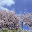 (주) 밀리소프트게임즈 | 봄준비 하다가 벌써 포스팅이 밀렸네 !?