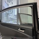 더모터스 이미지