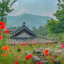 이병준농장 이미지